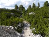 La Crusc - Sasso delle Dieci / Zehnerspitze